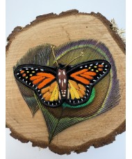 Broche papillon brodée à la main, bijou textile fait main inspiré de la nature
