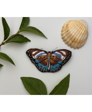 broche papillon